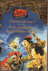 Image of Navire en vue!
