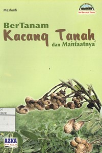 Image of Bercocok Tanam Kacang Tanah dan Manfaatnya