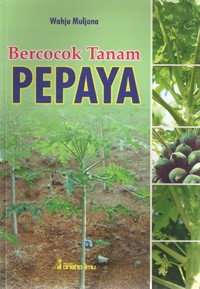 Image of Bercocok Tanam Pepaya