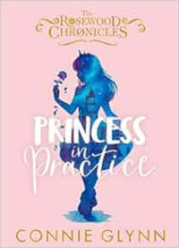 Image of Princess in Practice