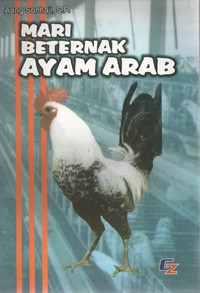 Mari Beternak Ayam Arab